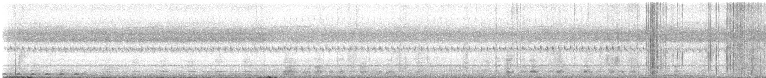 Australian Reed Warbler - ML647151162