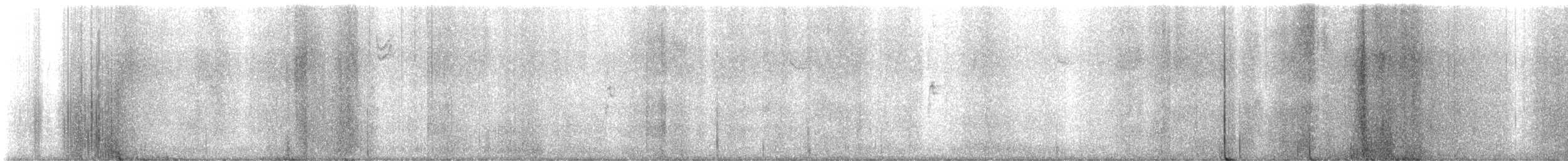 MacGillivray's Warbler - ML647152522