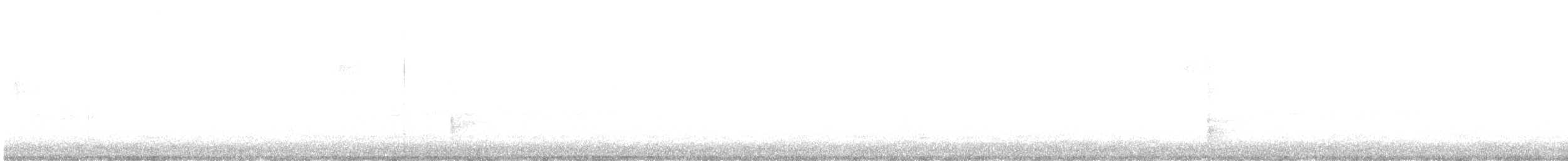 Quiscale bronzé - ML647152621