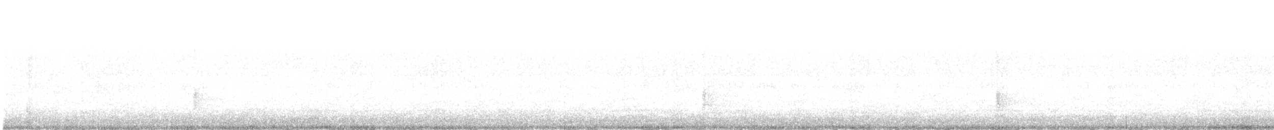 Quiscale bronzé - ML647152678