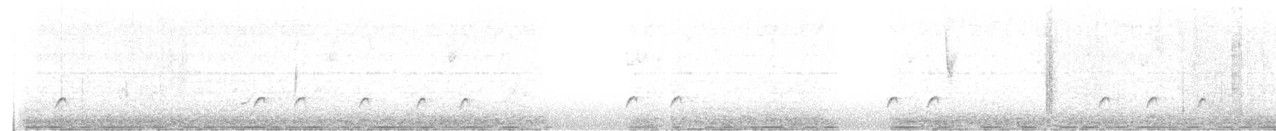 Greater Pewee - ML647153106