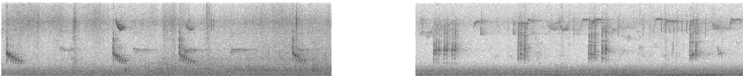 Carolina Wren - ML647153234