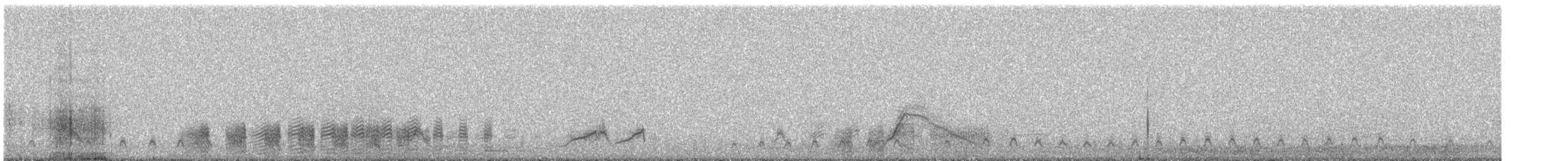 Crested Duck - ML647153745