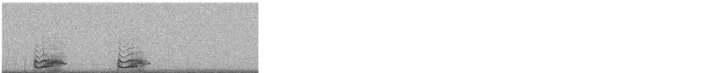 Giant Coot - ML647153757