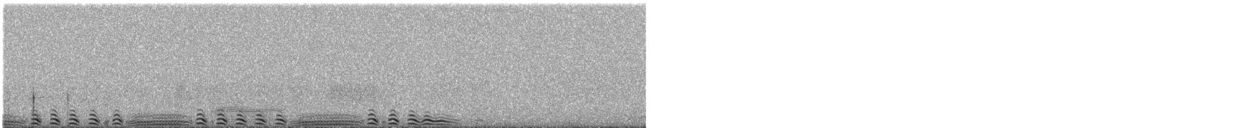 Giant Coot - ML647153758