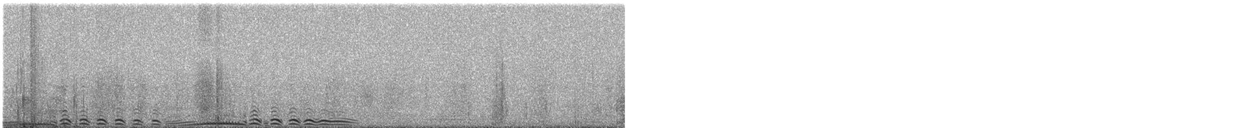 Giant Coot - ML647153759