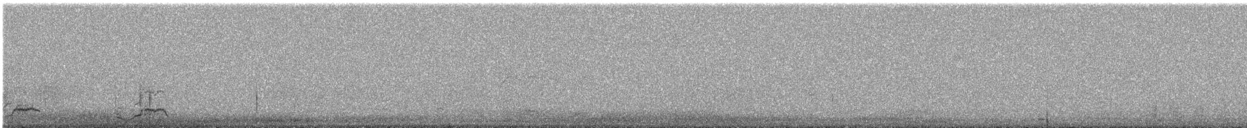 Giant Coot - ML647153762