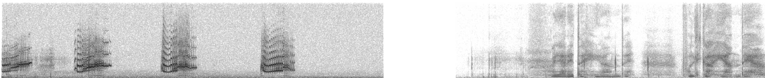 Giant Coot - ML647153763