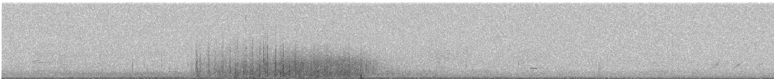 Giant Coot - ML647153764