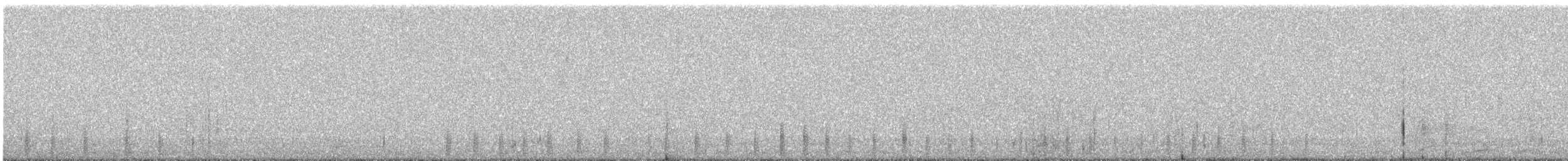 Slate-colored Coot - ML647153772