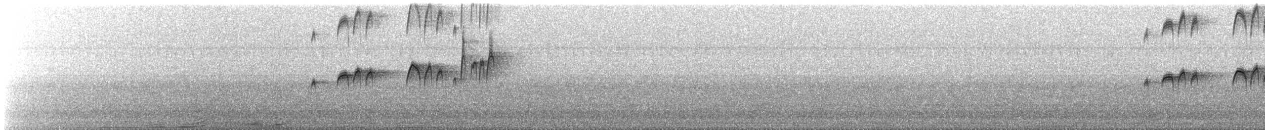 Tropical Kingbird - ML647154806