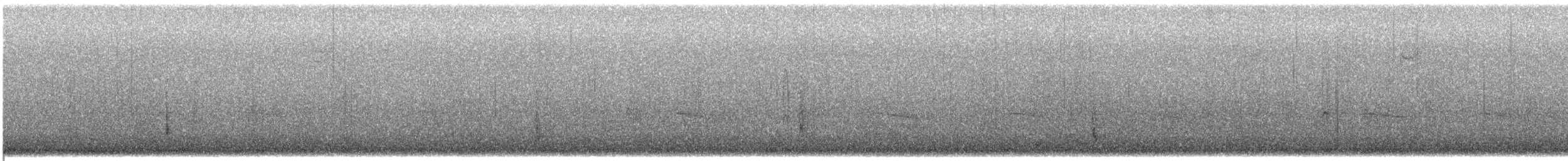 Hermit Thrush - ML647155027