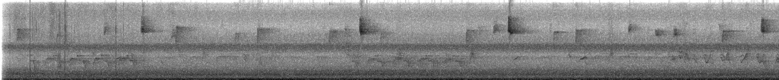 Magnolia Warbler - ML647155031