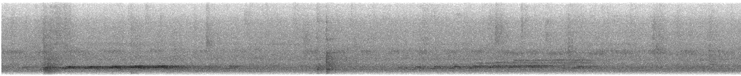 Asian Koel - ML647155411