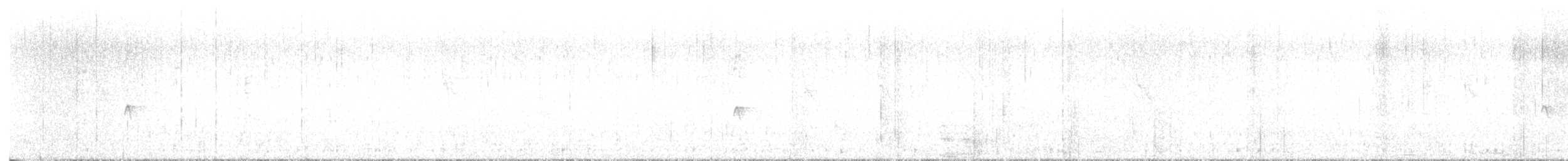 Hammond's Flycatcher - ML647155967