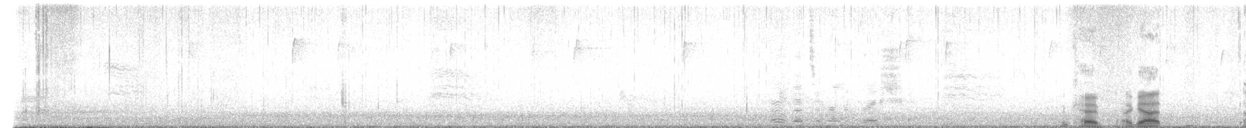 Gray Catbird - ML647156553