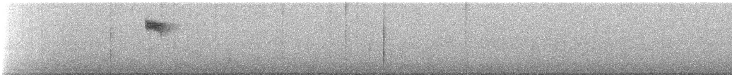 Colibri d'Allen - ML647156728