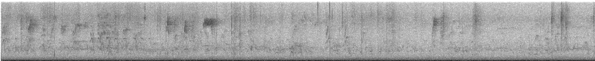 Zorzal Americano - ML647157020