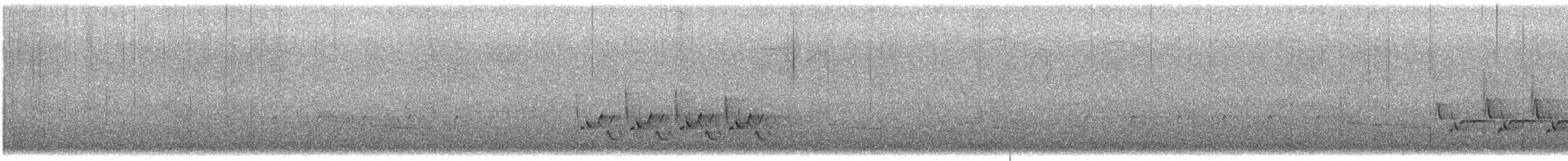 Cucarachero de Carolina - ML647157050