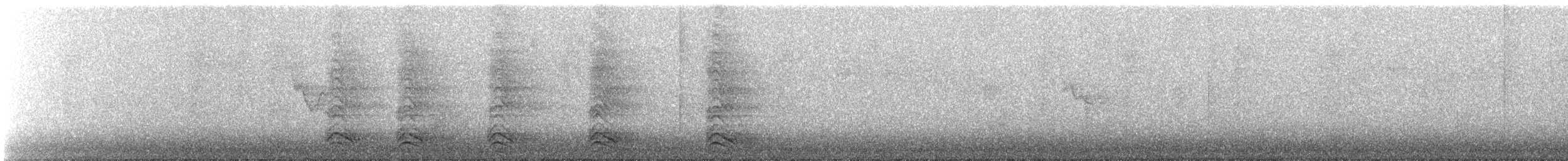 Cuervo Americano - ML647157154