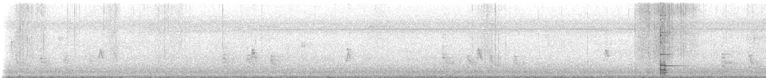 シマセゲラ - ML647157490