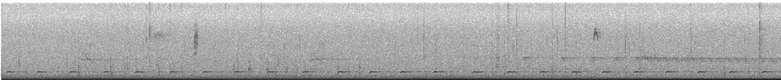 Mochuelo Cabezón - ML647157605