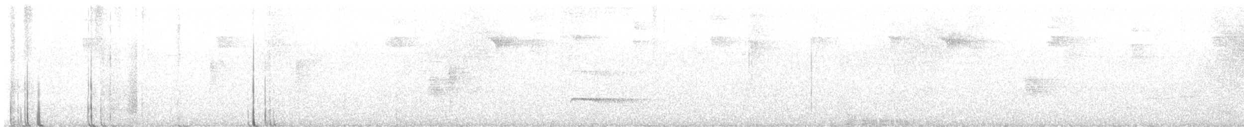 Pibí Puertorriqueño (blancoi) - ML647157774