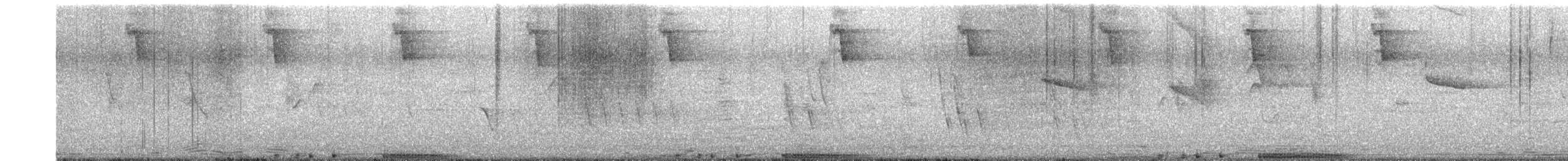 Paloma Bravía (variedad doméstica) - ML647157900