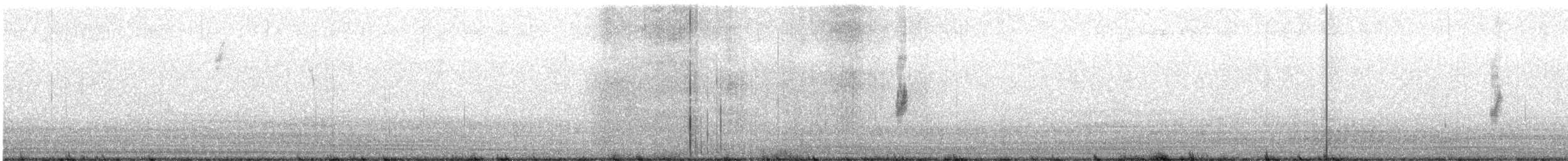 Chihuahuan Meadowlark - ML647158718