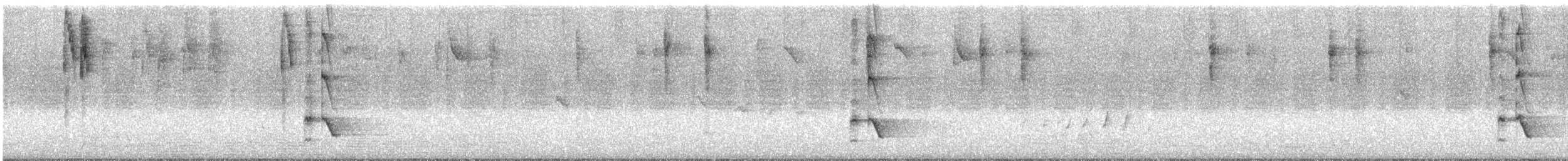 Superb Fairywren - ML647159034