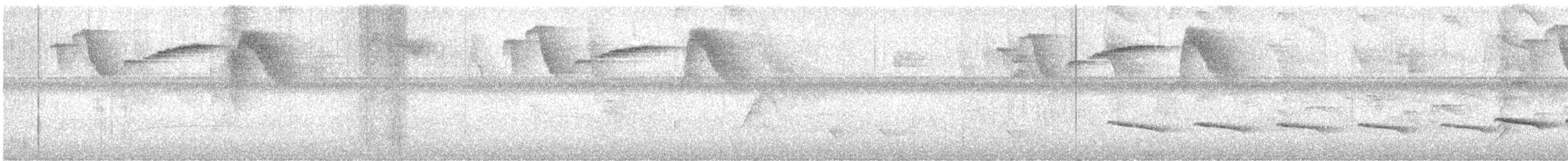 Blue-lored Antbird - ML647159210