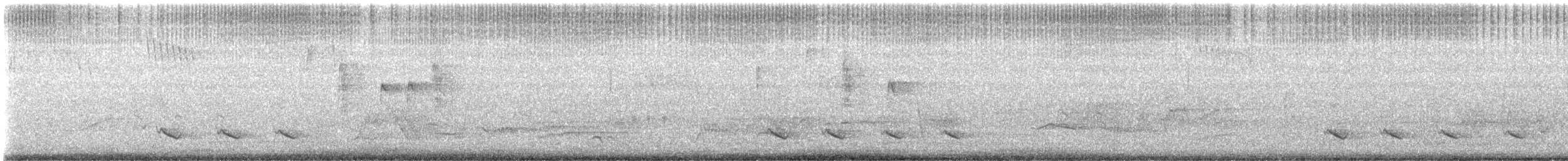 White-naped Honeyeater - ML647159331