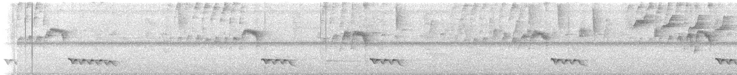 White-breasted Wood-Wren - ML647159407