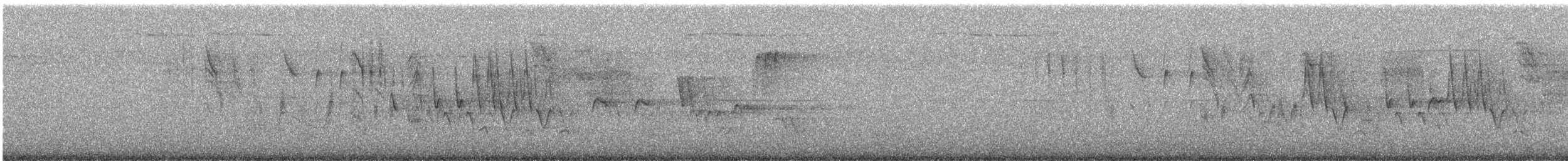 Southern House Wren - ML647159458