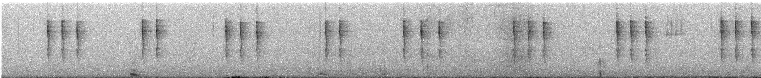 Pacific Wren - ML647159626