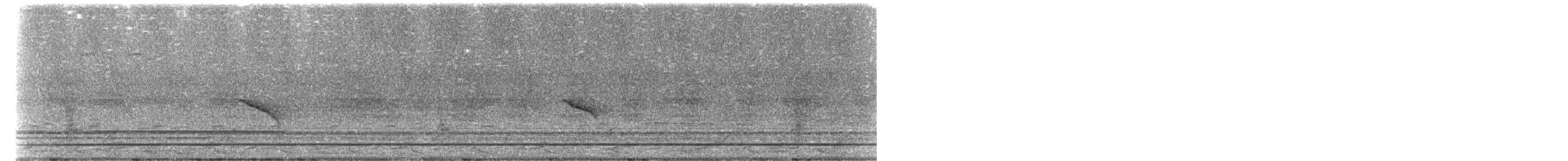 Grayish Baywing - ML647159632