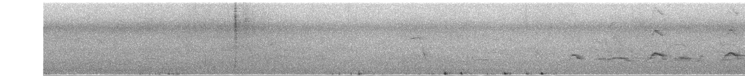 chřástal břidlicový - ML647159797