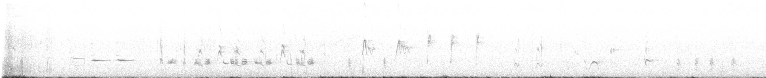 Crissal Thrasher - ML647159977