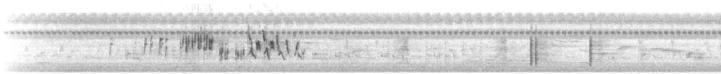 Певчий сверчок - ML647159982