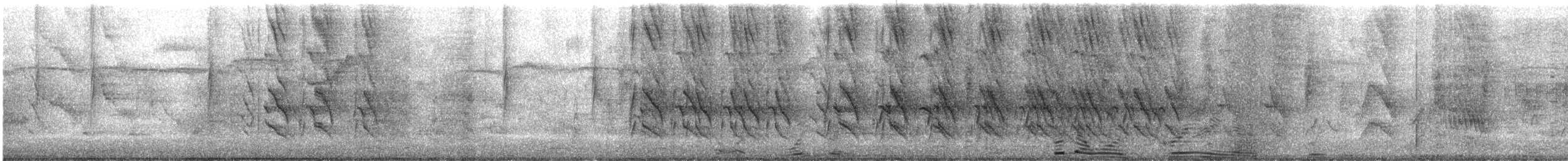 Rose-ringed Parakeet - ML647160242