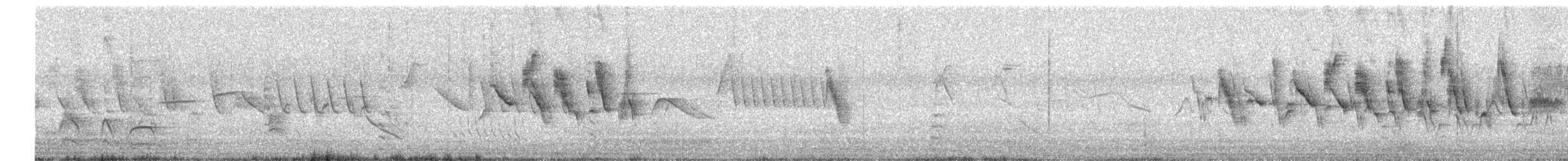 Paruline voilée - ML647160562