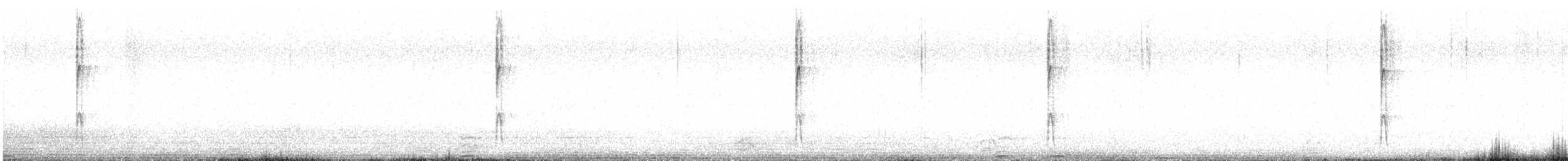 Ladder-backed Woodpecker - ML647162426