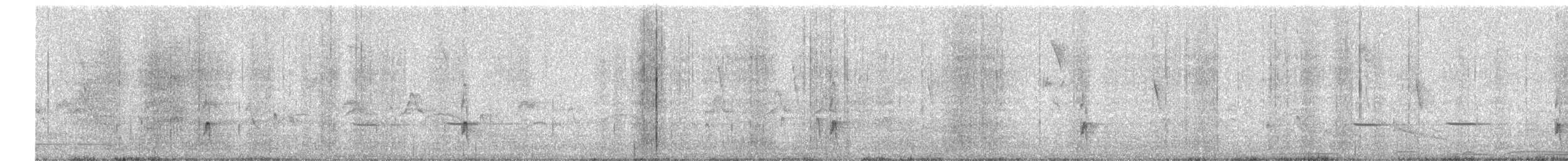 Small-billed Elaenia - ML647162492