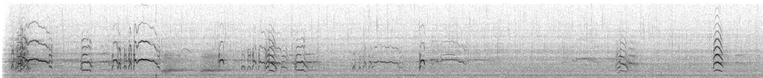 Short-billed Gull - ML647162496