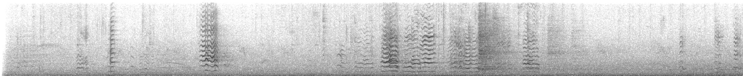 Long-billed Corella - ML647162834