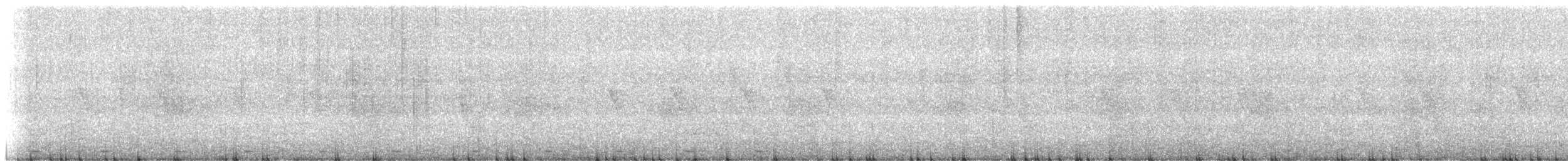 Coppersmith Barbet (Western Yellow-faced) - ML647162939