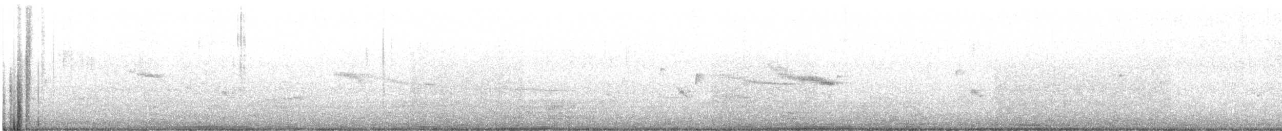 Golden-bellied Gerygone - ML647162988