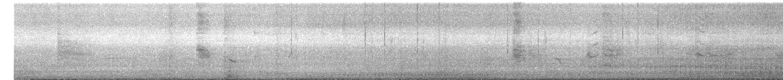 Black Drongo - ML647163161