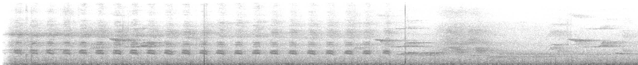 Ratchet-tailed Treepie - ML647163169