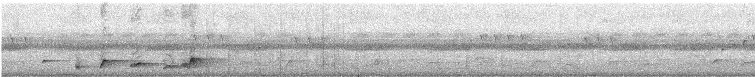 Common Bulbul (Dark-capped) - ML647163304